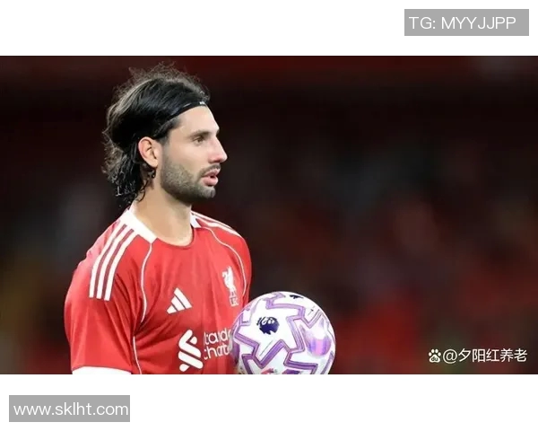 探索索博斯洛伊的历史与文化遗产之旅：揭秘这座城市的独特魅力与风土人情